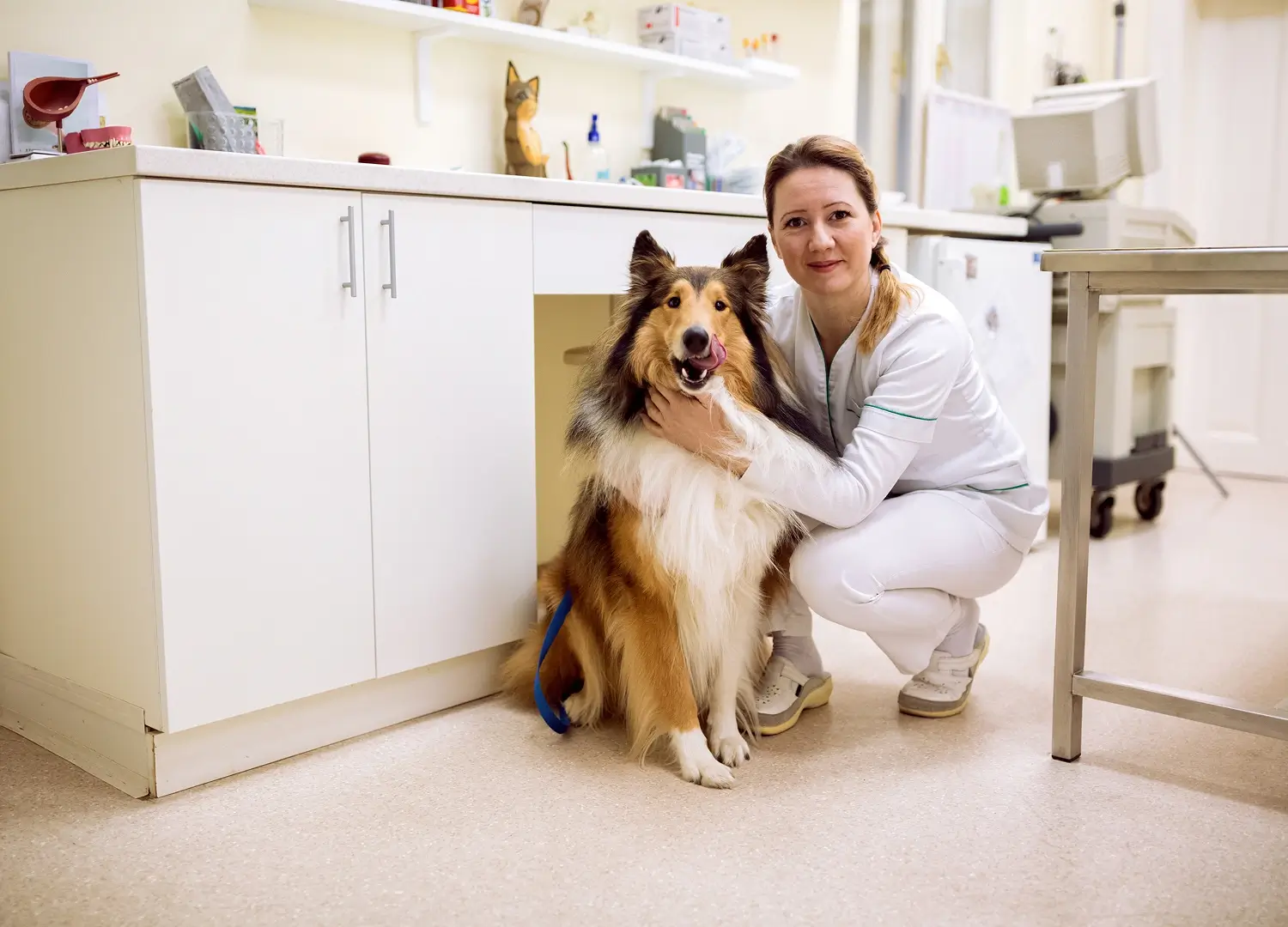 Pets-and-pet-care